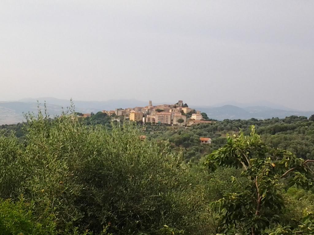 Agriturismo Norianino Montemerano Exterior photo