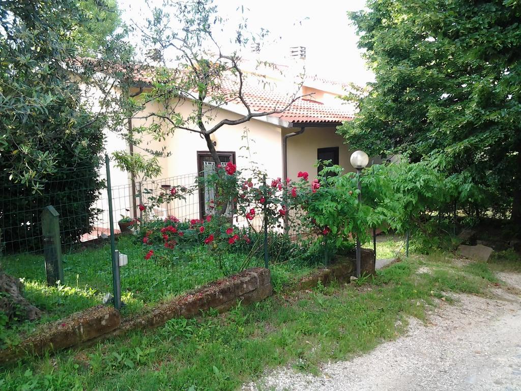 Agriturismo Norianino Montemerano Exterior photo